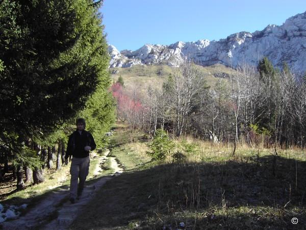 secteur Roybon