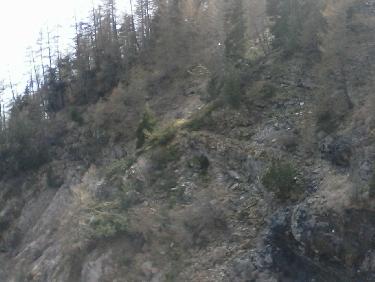 sente de sortie en bas Ã  D sur le promontoire- sente d&apos;arrivÃ©e en face- pas de sente en traversÃ©e