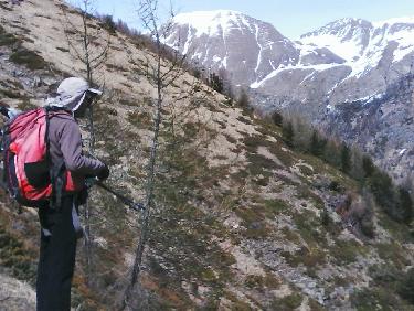 sente en balcon - avant l&apos;entrÃ©e dans la forÃªt