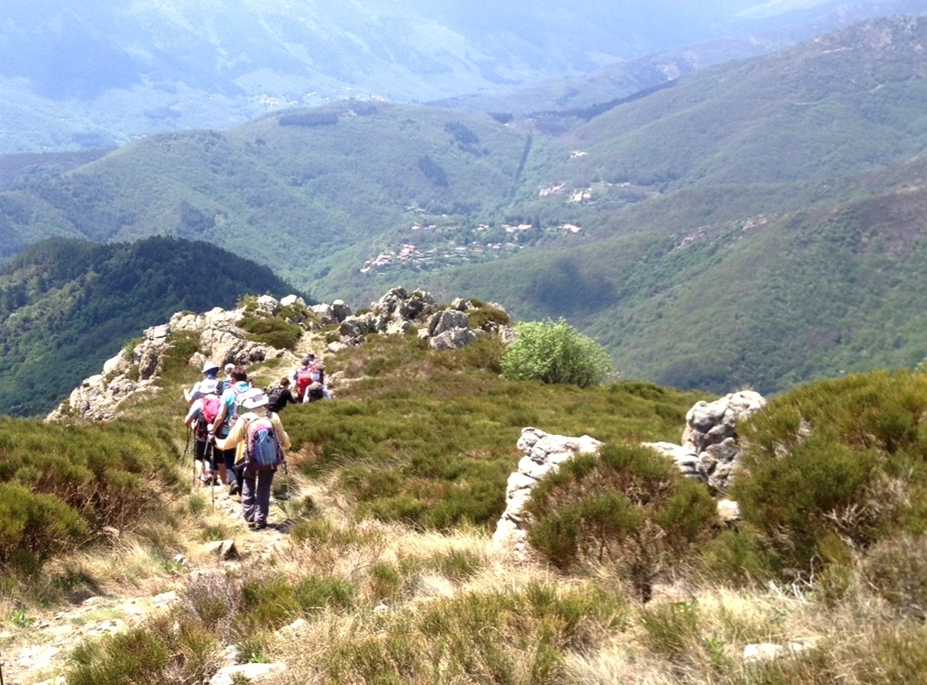 Sentier de descente 2