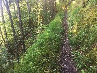 sentier de montÃ©e tranquille