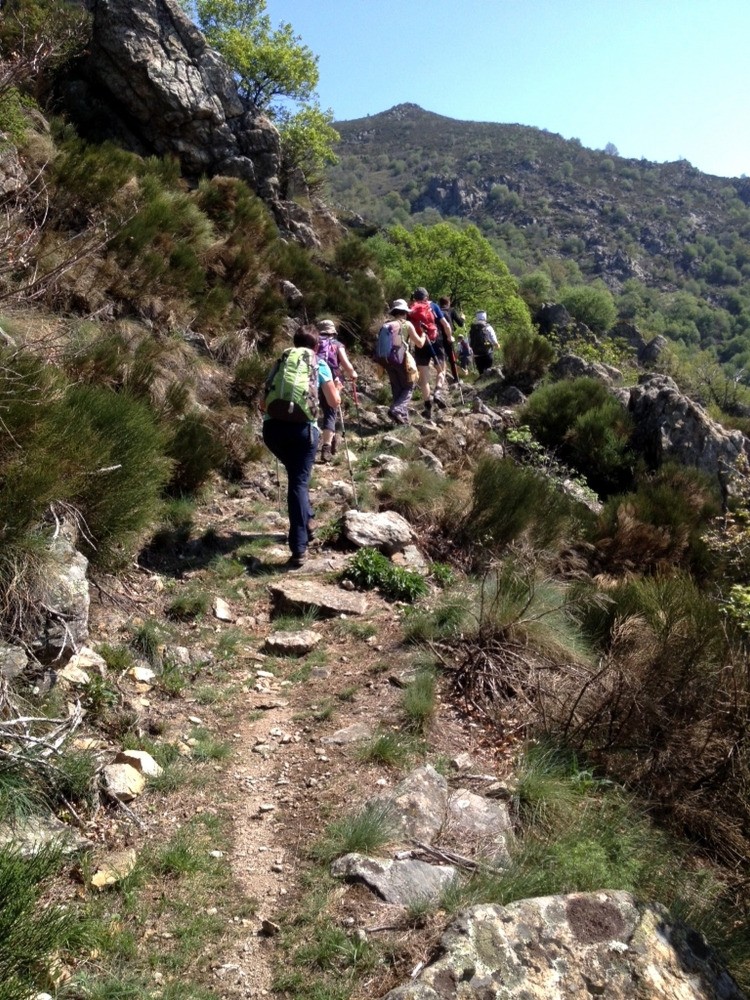 Sentier de montÃ©e