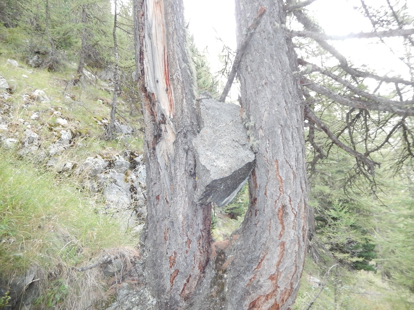 Sentier des cascades