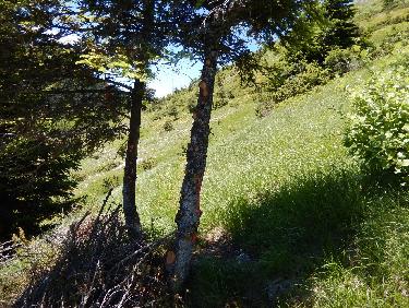 Sentier en balcon vers le col de Priau
