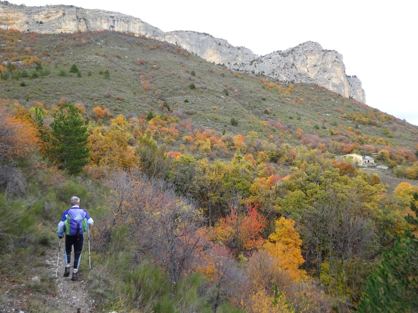 Sentier entre Haute Crigne et Basse Crigne