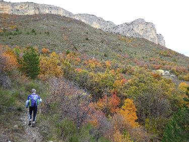 Sentier entre Haute Crigne et Basse Crigne
