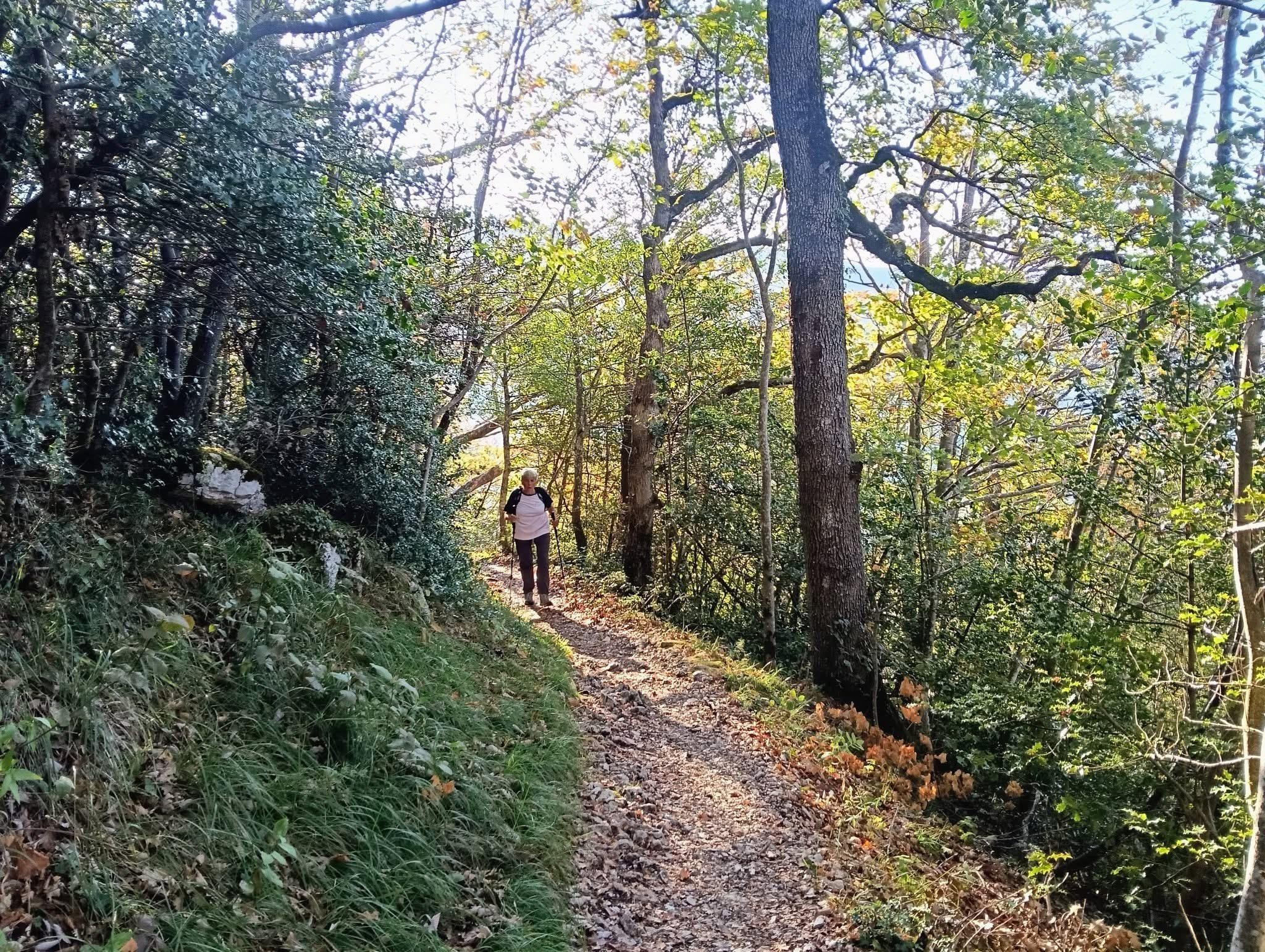Le sentier lumineux 