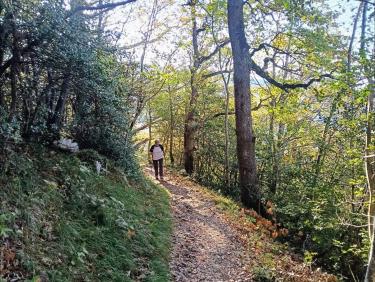 Le sentier lumineux 