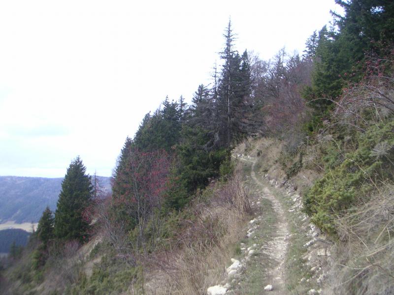 sentier