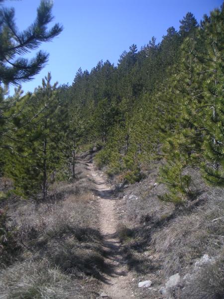 sentier