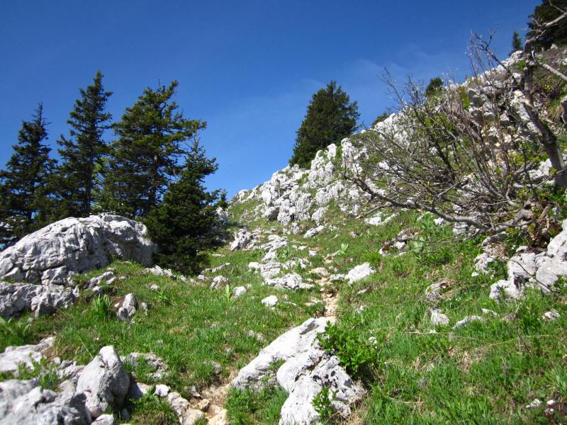 sentier