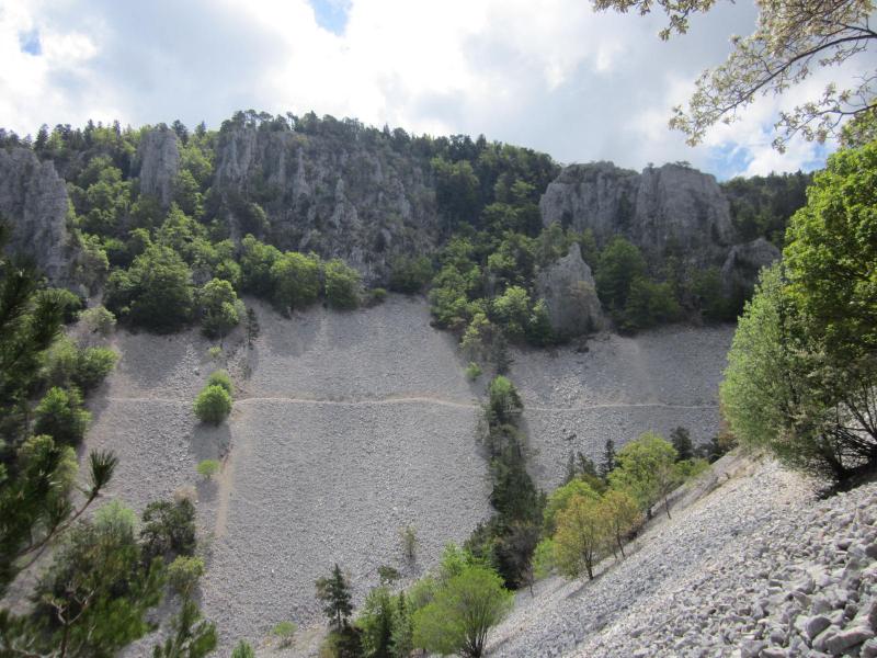 sentier à flanc