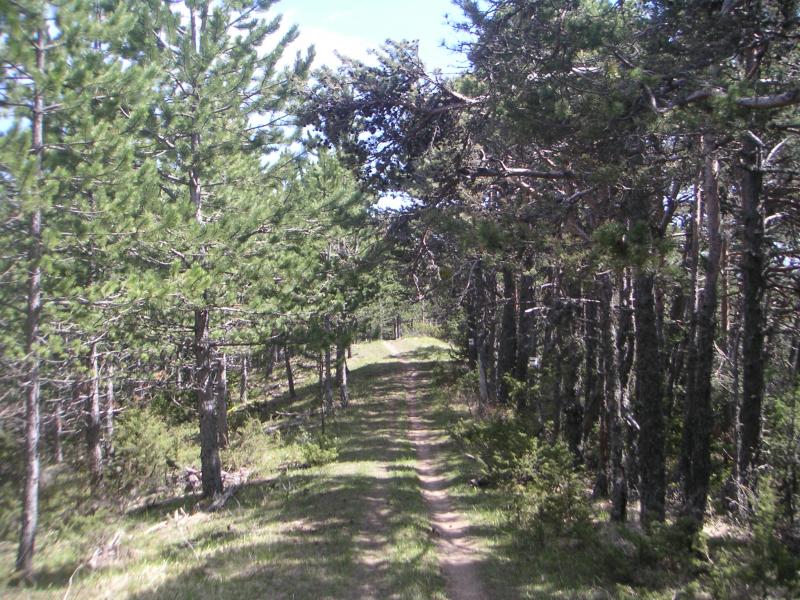 sentier des huit cols