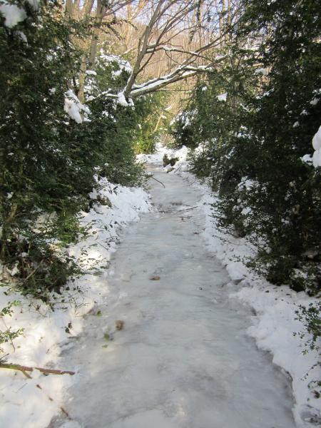sentier en glace vive