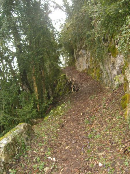 sentier tailleé dans la roche