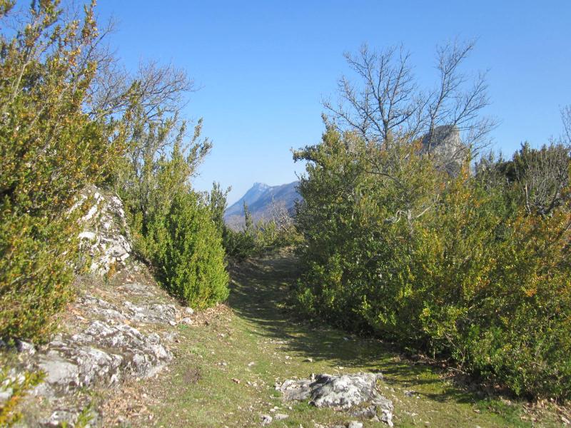 sentier-tapis vert!