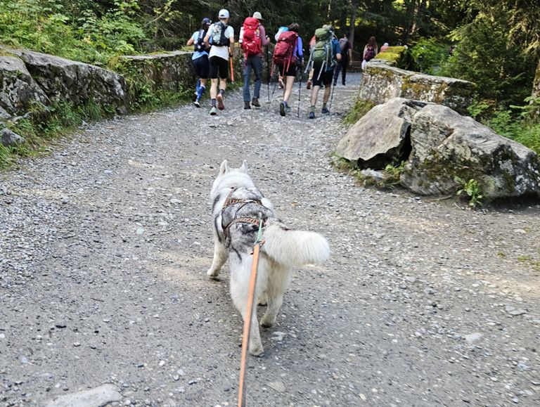 RUN 25: Refuge des Prés - refuge de la Balme au départ de ND de la Gorge
