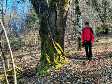 Le site de la vieille branche 