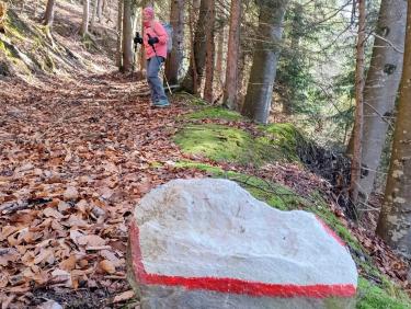 Le site de la vieille branche 