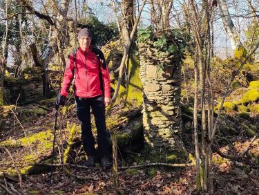 Le site de la vieille branche 