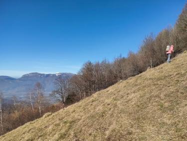 Le site de la vieille branche 