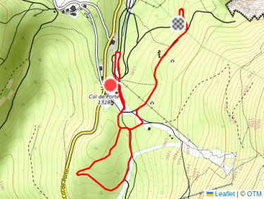 Ski nordique dans l'après-midi