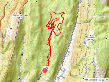 Ski de fond avec les collègues