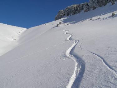 Poudreuse de novembre
