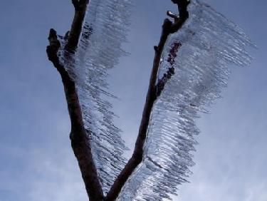 Sculpture éphémère