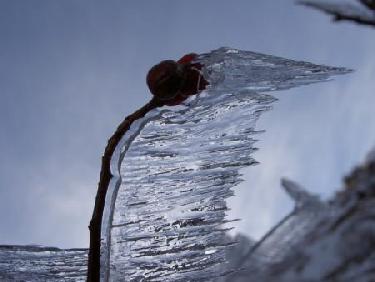 Sculpture éphémère