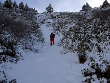 Plateau du Cornafion