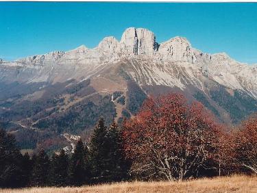 Deux Soeurs et Grande Moucherolle