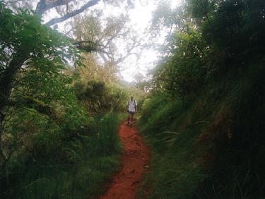 Sentier de la Roche Ecrite