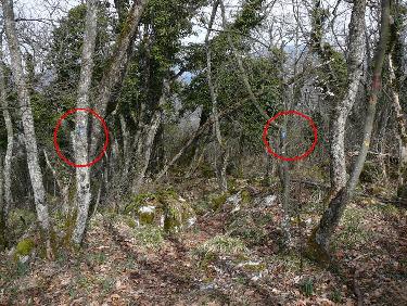 Entrée du sentier de descente