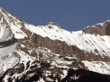 Les petites charances