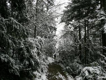 Chemin vers les Rochers de Bournillon