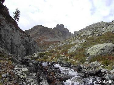 Torrent d&apos;Articol