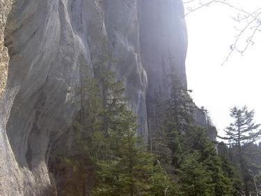 le long des falaises