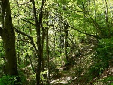 En montant au Col de la Faîta