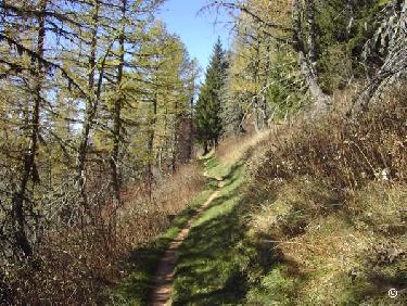 Autour du Roc Cornafion.