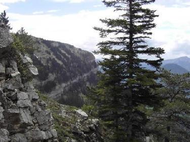 Sentier de l&apos;Hirondelle.