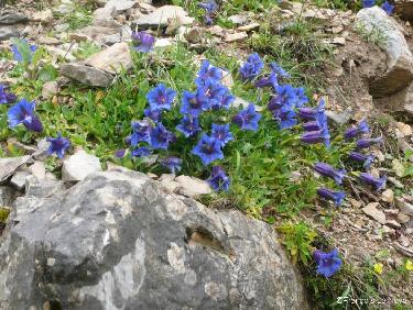 Couleurs de printemps