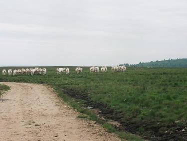 On m&apos;attend au tournant...