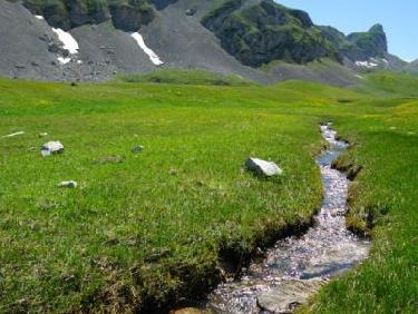 Vallon des aiguilles
