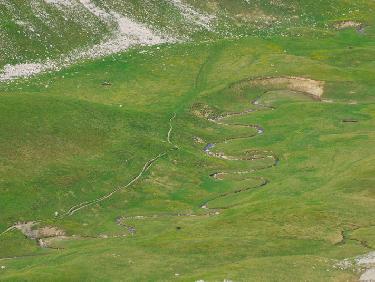 Vallon des aiguilles