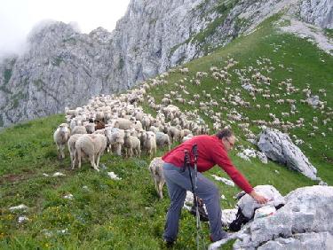 Barre toi de mon herbe!