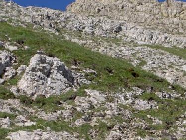 la fin de l&apos;arête