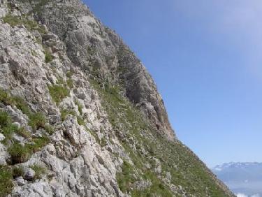 Dans les gradins herbeux sommitaux