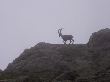 Le retour du gardien!