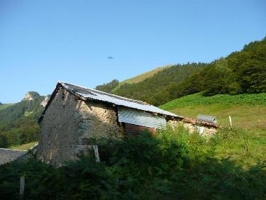 Bergerie sous le sommet